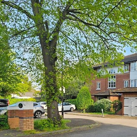 Apartamento Lovely Flat Close To Shepherd'S Bush Londres Exterior foto